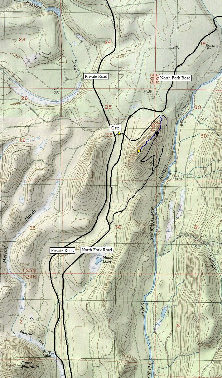 map of lions mane  