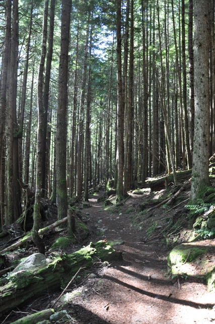 mcclellan butte trail