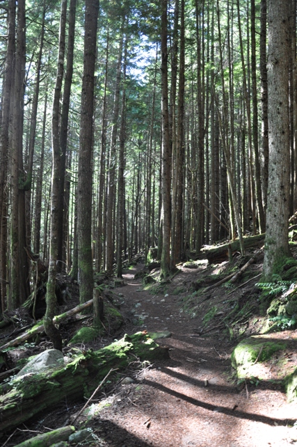 mcclellan butte trail