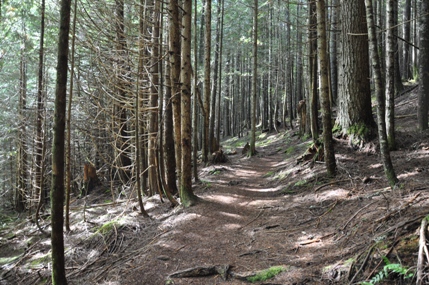 hiking mclellan butte