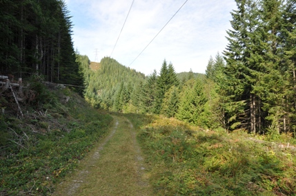 mcclellan butte