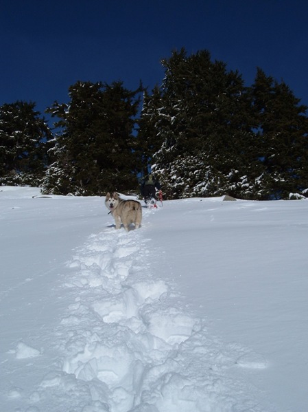 snowshoe trail