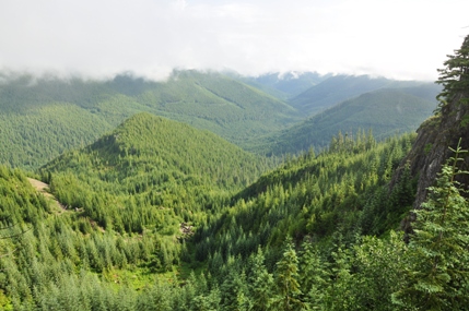 Nisqually River Valley 