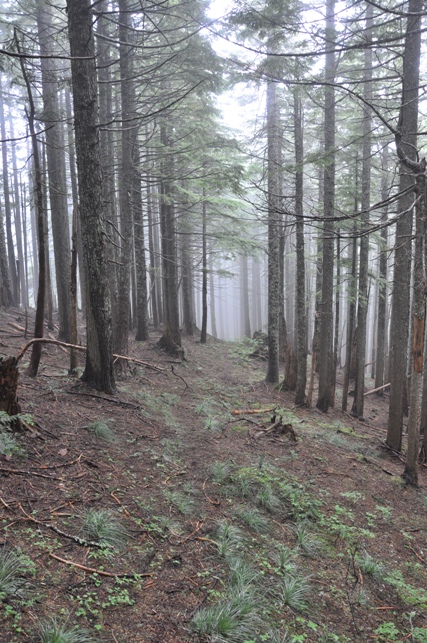 The Rockies lookout trail