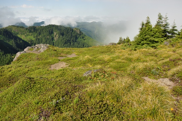 The Rockies Lookout