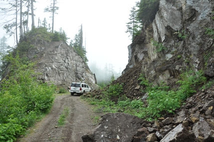 logging road