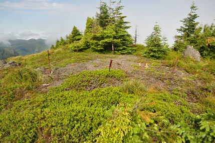 The Rockies Lookout