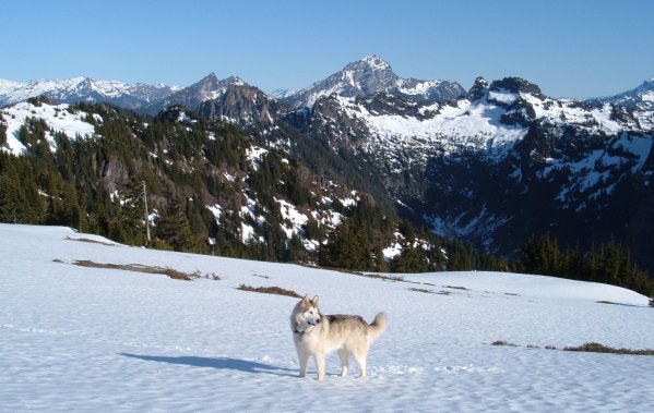 Dozer and Sloan Peak