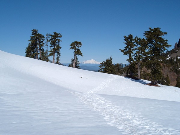 Mt. Baker 