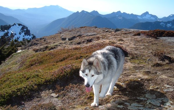 Stillaguamish Peak