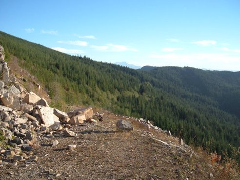 old road near mineral