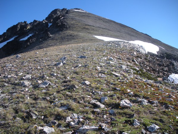 South ridge of Mount Maude 