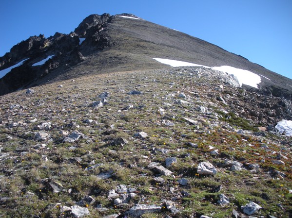 South ridge of Mount Maude 