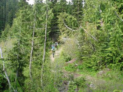 White River trail