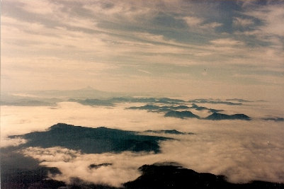 Mt. Hood