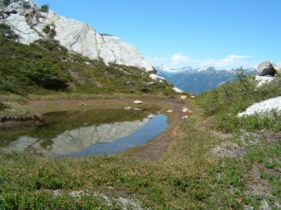 Snowfield Peak access trail