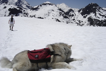 Mount Hannegan Summit