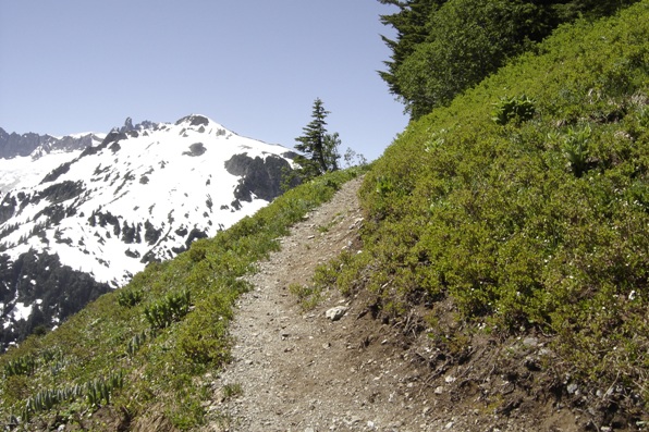 Hannegan Peak trail