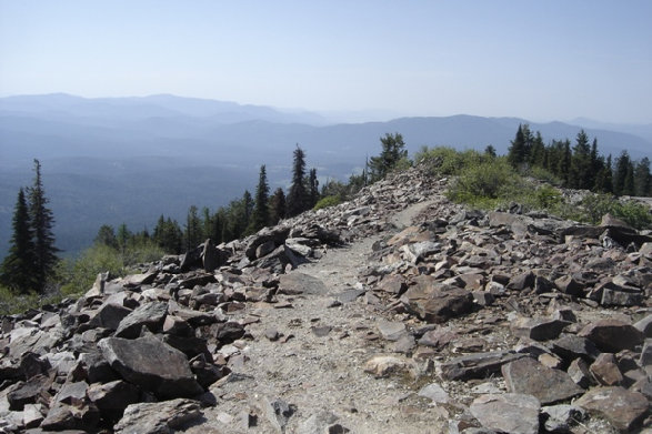 Trail on Old Dominion