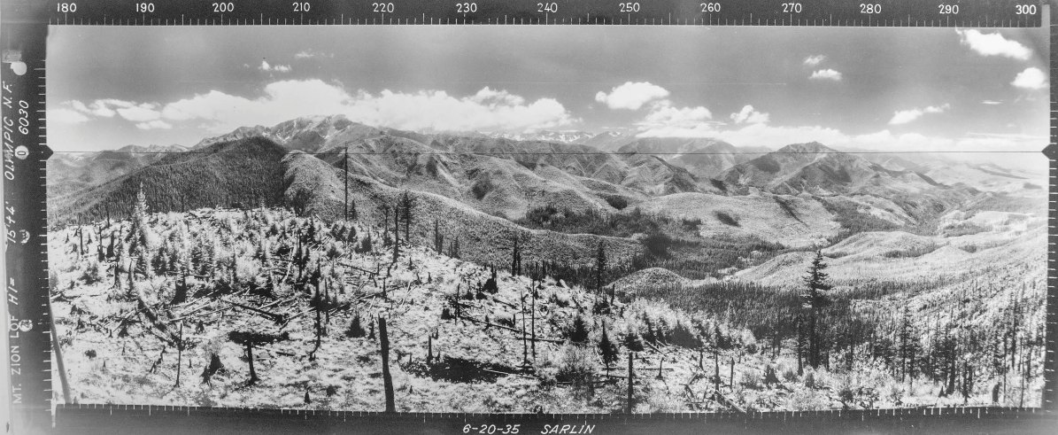 zion lookout