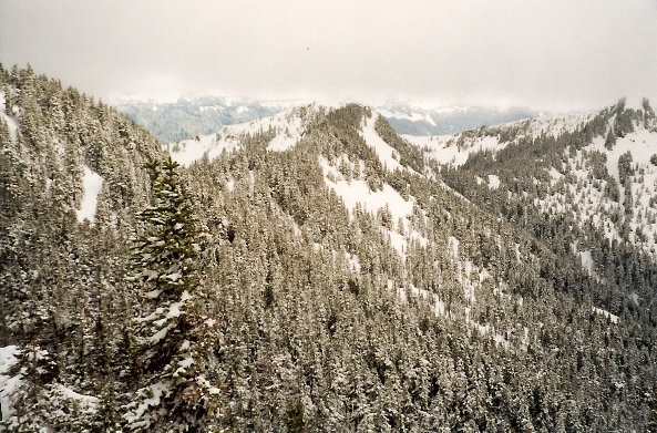 Clearwater Wilderness 