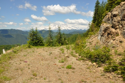 Mount Rainier