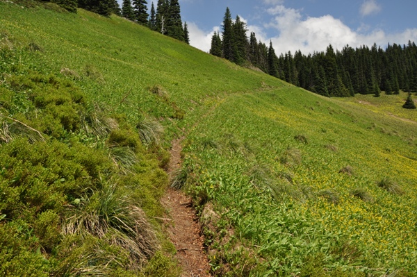 Purcell Mountain trail