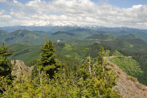 Mount Rainier