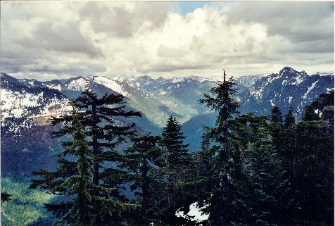 View up the valley