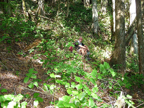 Middle Fork brush