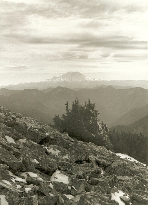 Distant Mount Rainier 