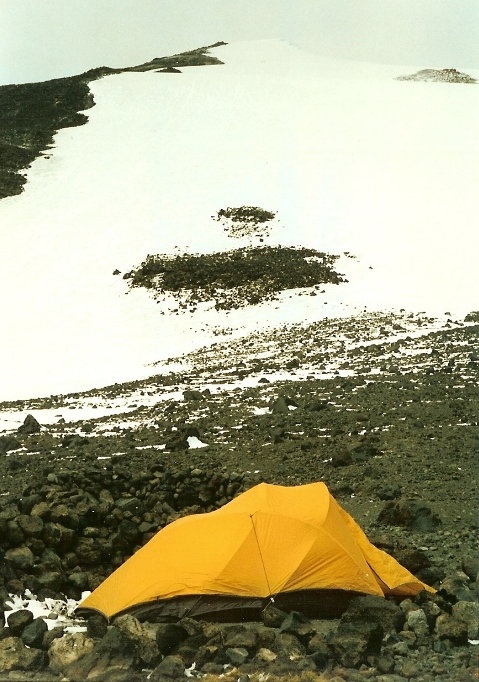 Camping at Lunch Counter