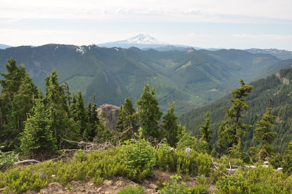 Mount Adams