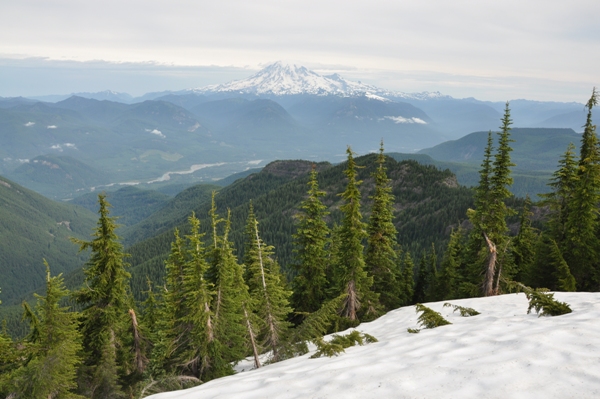 Mount Rainier 