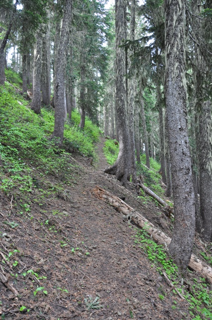 South Point trail