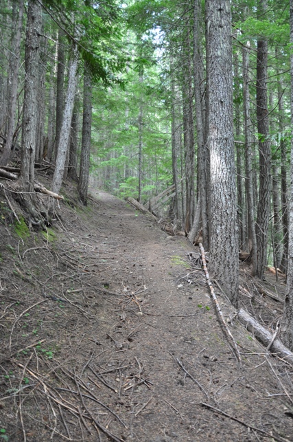 South jeep trail