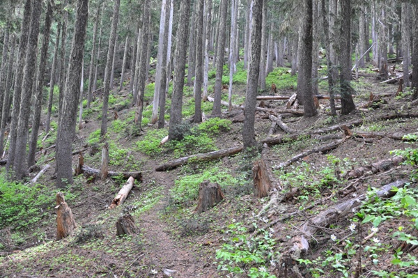 South Point trail