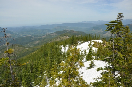 cascade-mountains.jpg