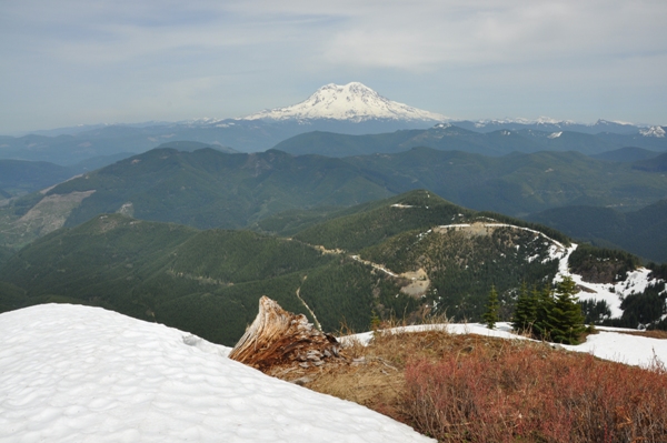 Mount Rainier 