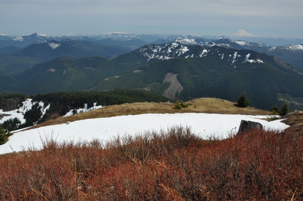 Mt. Adams 