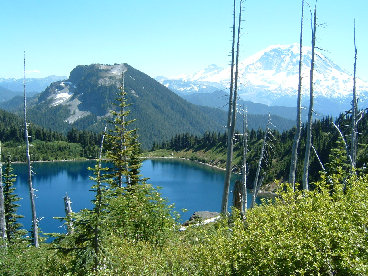 Clearwater wilderness 