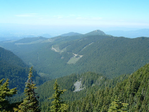 Clearwater Wilderness Wa