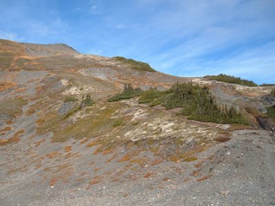 Tomyhoi Ridge route