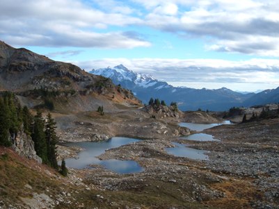 Yellow Aster Butte