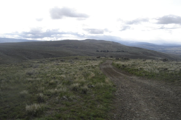 Ellensburg hiking, umtanum