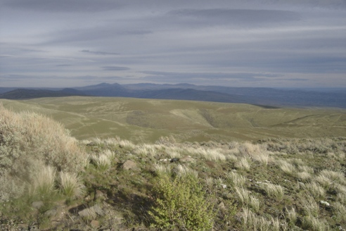 Hiking Ellensburg