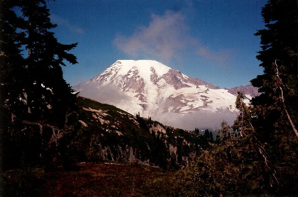 Mount Rainier View