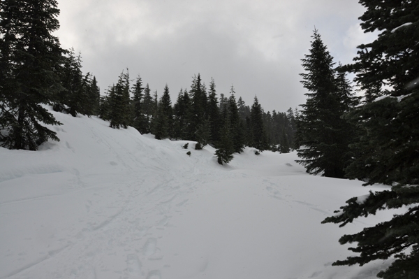 stevens pass