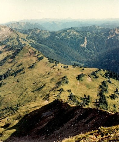 white pass