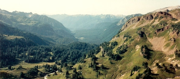 White Chuck River Valley 